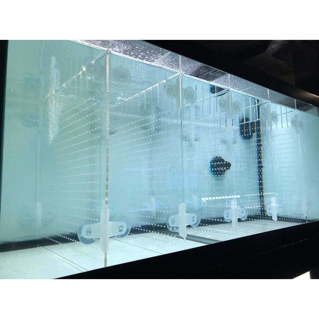 Acrylic Aquarium Divider Kit with Suction Cups S261869