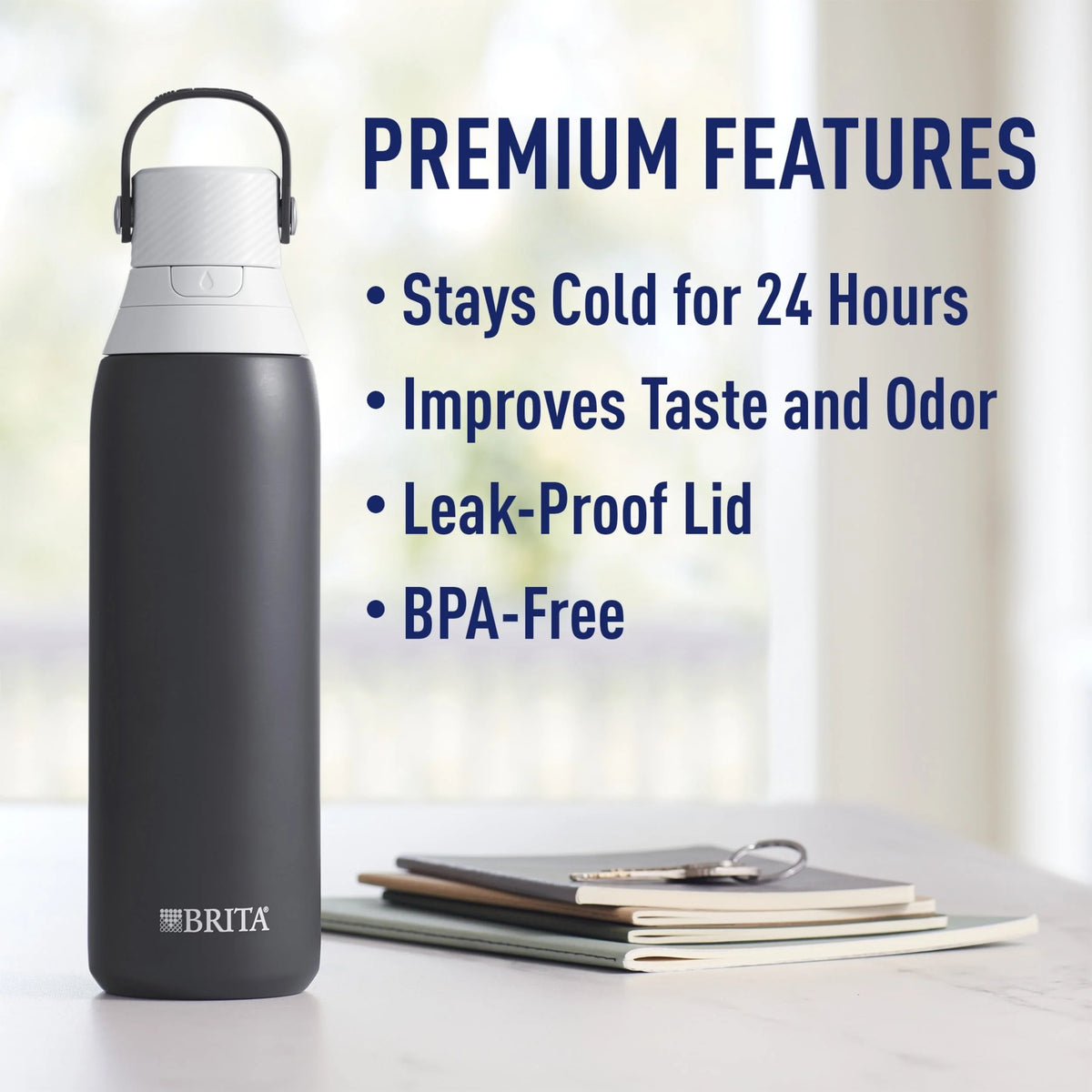 20 oz Stainless Steel Filtered Insulated Water Bottle with Straw G254731
